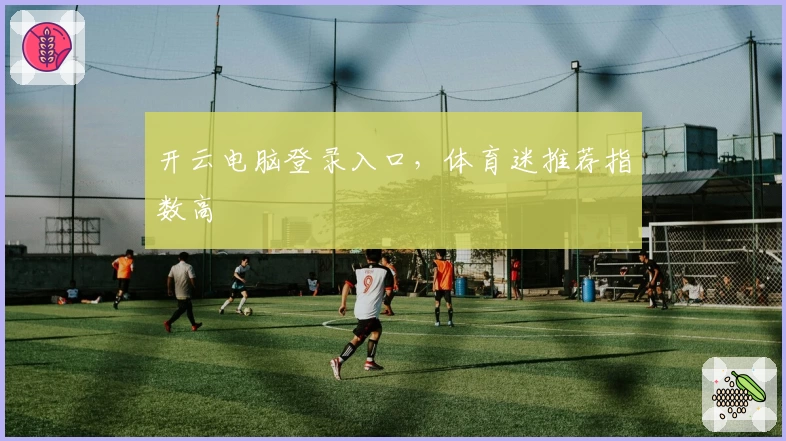 开云电脑登录入口，体育迷推荐指数高