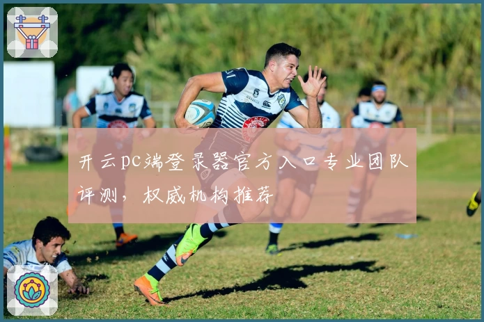 开云pc端登录器官方入口专业团队评测，权威机构推荐