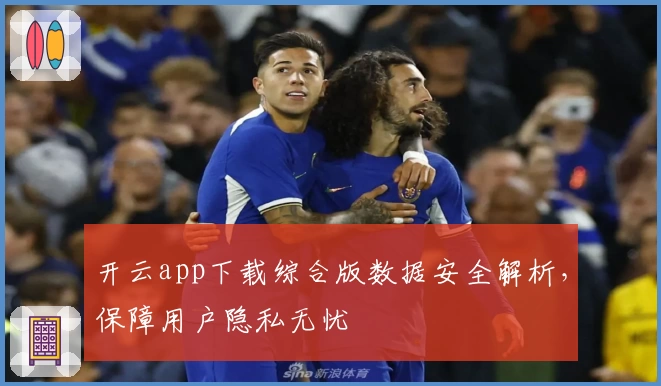 开云app下载综合版数据安全解析，保障用户隐私无忧